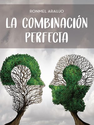 cover image of La combinación perfecta